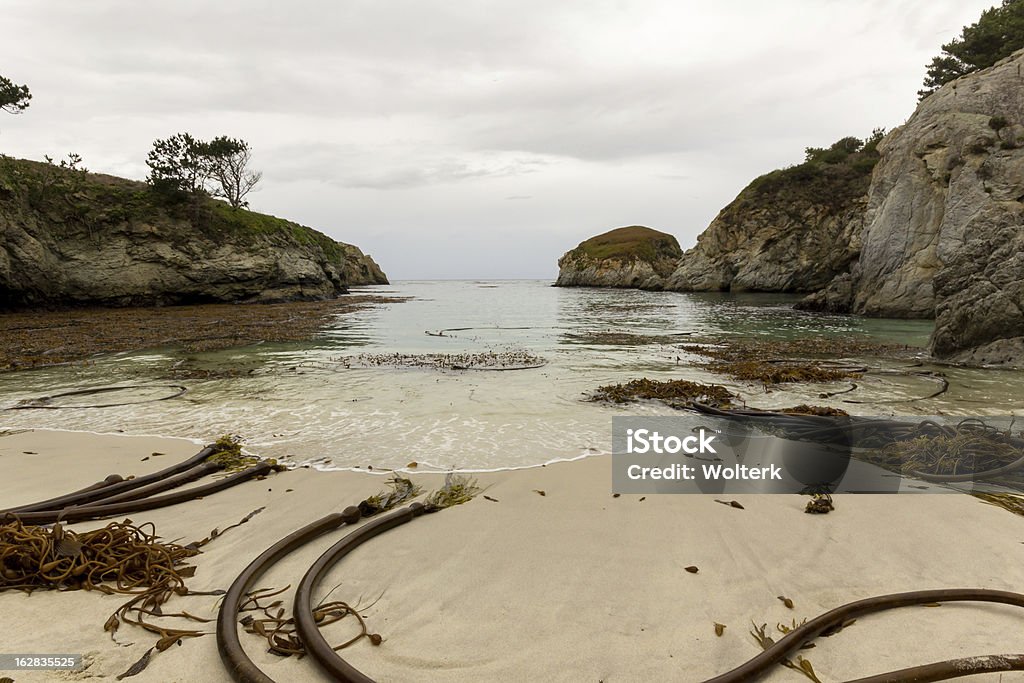 Riserva naturale di stato di Point Lobos - Foto stock royalty-free di Ambientazione esterna