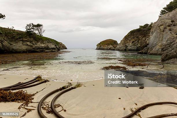 Riserva Naturale Di Stato Di Point Lobos - Fotografie stock e altre immagini di Ambientazione esterna - Ambientazione esterna, Baia di Monterey, Bellezza naturale