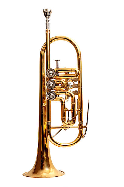 trompette allemand - trompette photos et images de collection