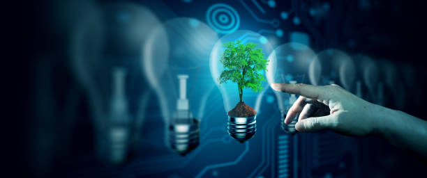 istock Human hand pointing Tree in the Light bulb against nature. Ecology, Energy, and Environment Concept. 1628396293