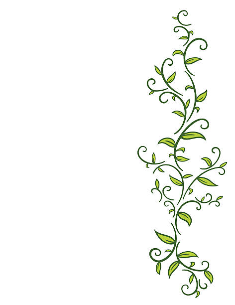 Tribal avec feuilles de vigne - Illustration vectorielle