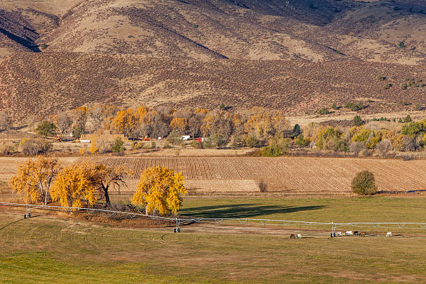 istock farmland at Colorado foothills 162840946