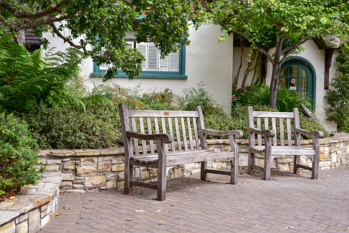 Bench in garden