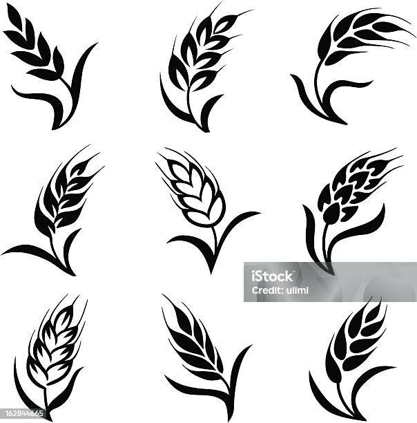 Wheat - Arte vetorial de stock e mais imagens de Trigo - Trigo, Padrão, Trigo-mourisco