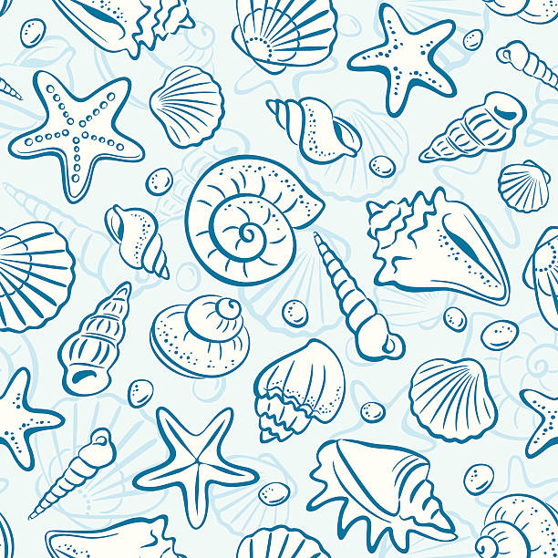 5,300+ Conch Shells Drawing Stock Illustrations, Royalty-Free Vector ...