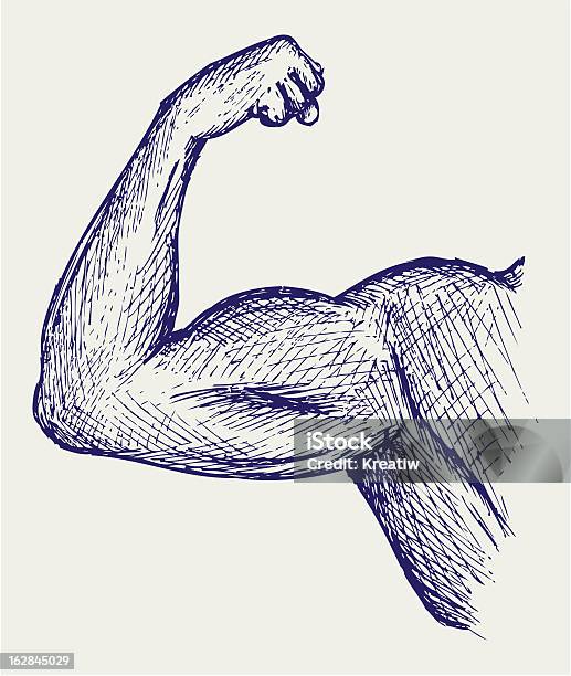 Forte Bicipiti - Immagini vettoriali stock e altre immagini di Bicipite - Bicipite, Struttura muscolare del torso, Disegno a matita