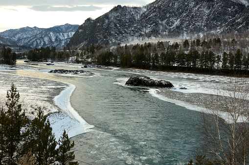 Stone islands in the melted bed of a beautiful frozen river flowing at the foot of snow-capped mountains. Katun river, Altai, Siberia, Russia.