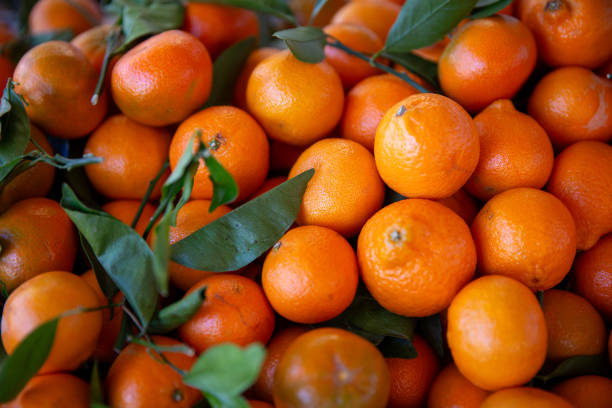 istock Bunch of Tangerines 1628479568