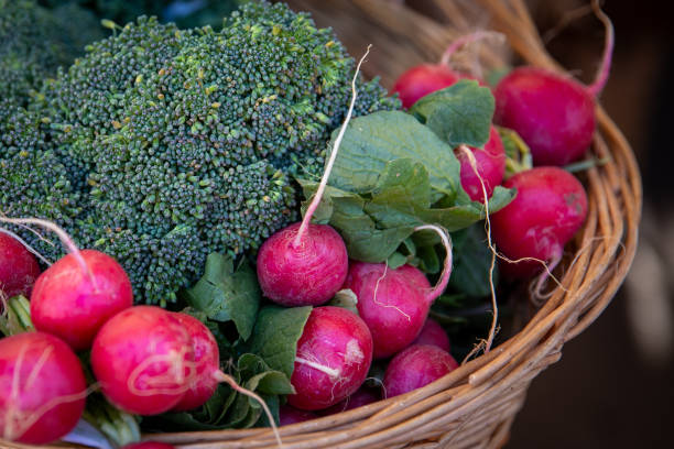 Basket of Radishes Close Up at the farmers market
