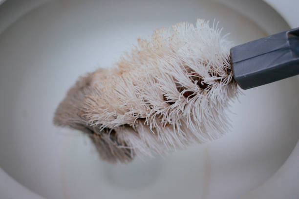 Macrophotography of a dust catcher.