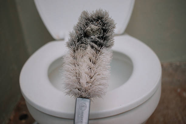 istock dirty toilet brush 1628485980