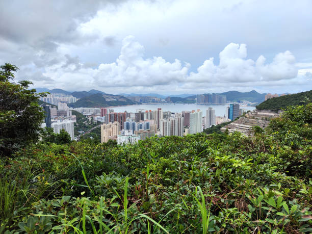 istock Chai Wan district cityscape, Hong Kong island 1628501935