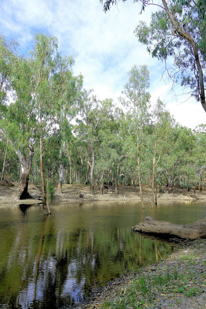 istock Lower Moira, Victoria, Australia 1628502164