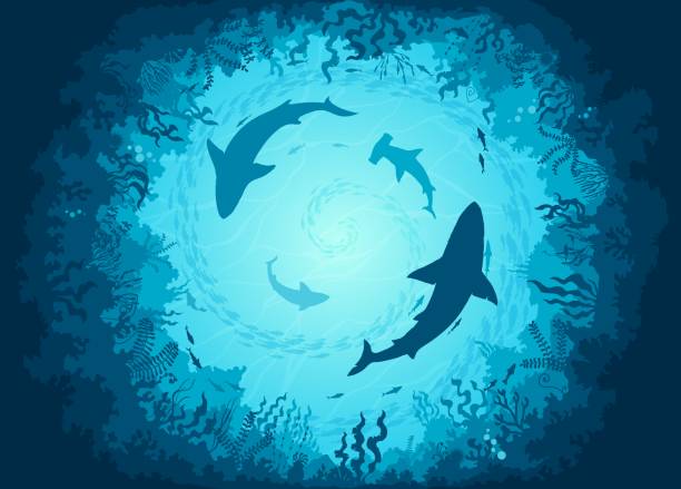 Underwater sea landscape with sharks and fishes Underwater sea landscape with sharks and fish shoals bottom view. Vector background with vortex of ocean predator silhouettes creates mesmerizing sight, showcasing beauty and diversity of marine life sharks in water stock illustrations