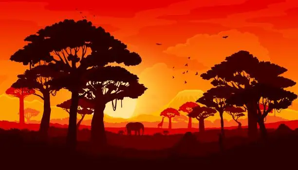 Vector illustration of African savannah sunset landscape silhouette