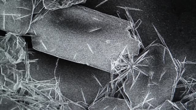 Magnified Image taken on a Scanning Electron Microscope (SEM).