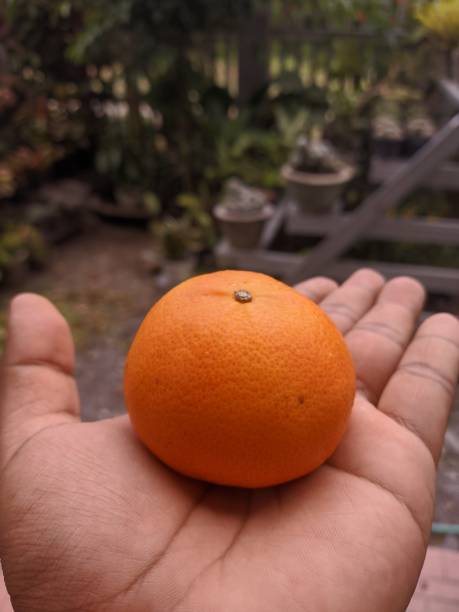 istock eating oranges in front of the house 1628538828