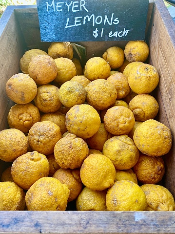 Horizontal still life of fresh picked organic local Meyer lemons in box for sale at farmers markets in country Australia