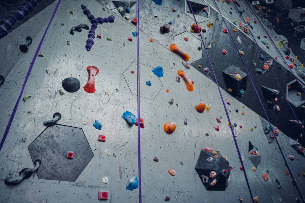 istock Artificial climbing wall with colorful grips and ropes 1628623601
