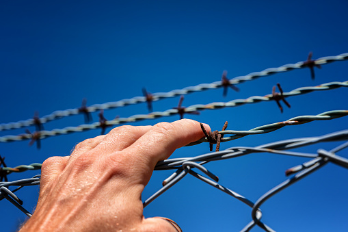 Barbed wire. Dangerous fence. Protected fence. Steel cord with sloppy edges.