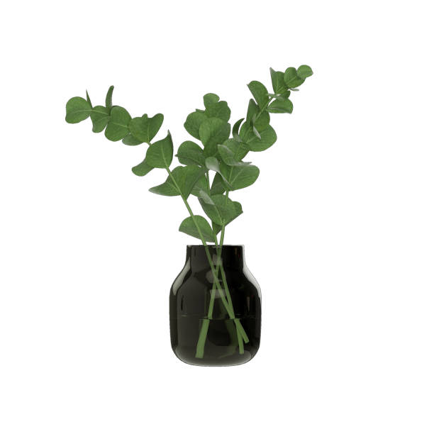 istock decorative vase with leaves on a white background 1628644672