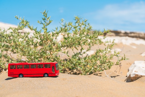 A closeup of a red toy bus on the sandy beach near a green plant