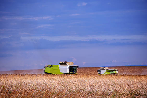 istock Combine harvesters working on the sunflower field 1628661193