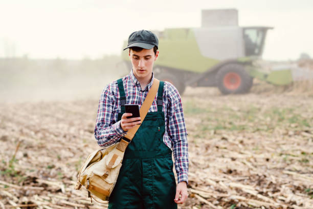 istock Young farmer working with phone in sunflower field during harvest 1628662253