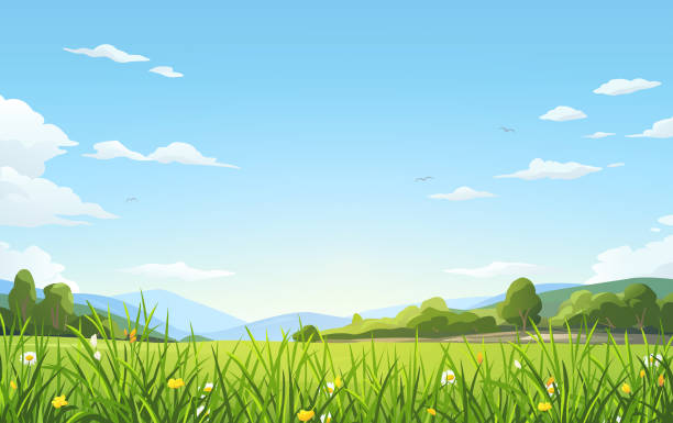 Green Meadow A beautiful spring or summer meadow with grass and flowers in the foreground, and trees, hills, mountains and an blue cloudy sky in the background. Vector illustration with space for text. meadow stock illustrations