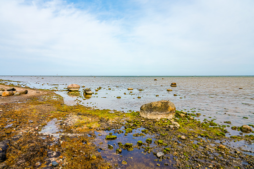 View of the coast at Gollwitzer Strand. Natural beach near Gollwitz in the nature reserve on the island of Poel. Landscape at the Baltic Sea.