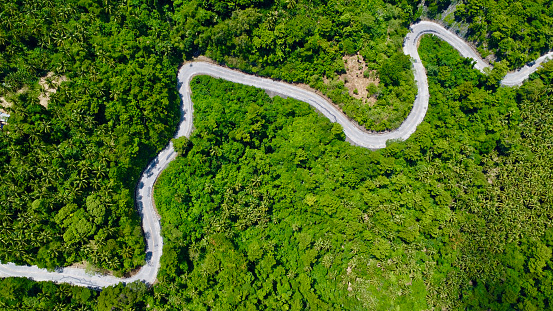Road through the jungle. Aerial view of the road through the forest.