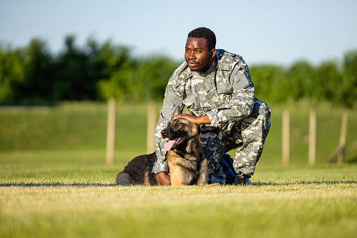 Military dog and his commander enjoying free time at training camp.