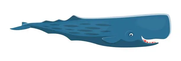 Vector illustration of Sea sperm whale character, mammal marine animal