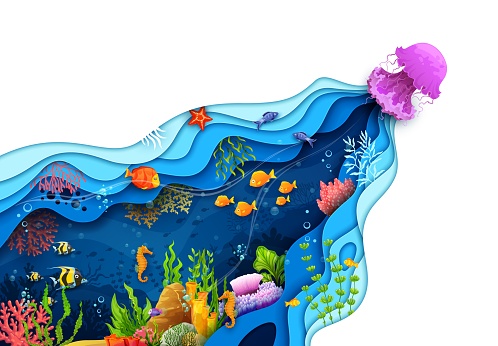 Cartoon underwater sea landscape paper cut. Jelly fish, fish shoal and seaweeds whimsical and imaginative vibrant scene with intricate papercut art. 3d vector frame with undersea world and marine life