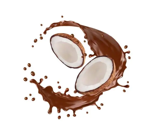 Vector illustration of Realistic chocolate splash with coconut halves