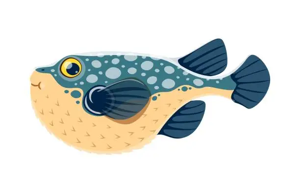 Vector illustration of Fugu or puffer fish character, marine animal