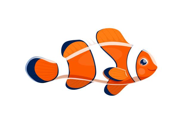 ilustrações, clipart, desenhos animados e ícones de peixe do palhaço dos desenhos animados animal marinho, criatura colorida - tropical fish clown fish isolated animal