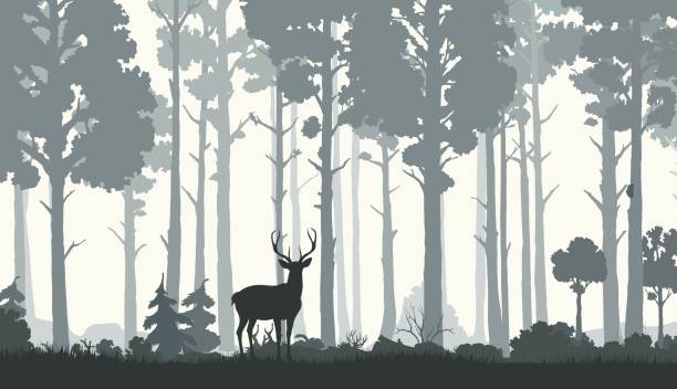 istock Silhouettes of morning forest with deer and trees 1628725663