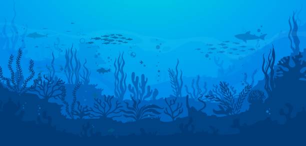 Cartoon underwater sea landscape, silhouette Cartoon underwater sea landscape silhouette with fish shoal and shark in seaweeds, vector background. Undersea or ocean coral reef silhouette landscape with dolphin in deep water of sea bottom underwater exploration stock illustrations
