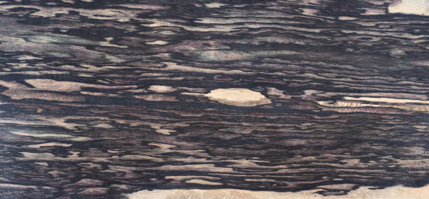 istock Black and White Ebony wood natural texture 1628741521