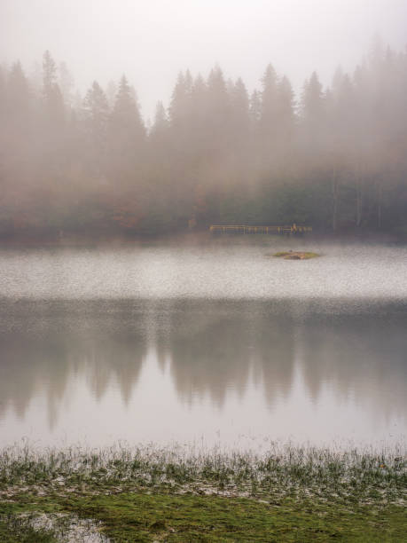 istock misty landscape with lake in fall season 1628754973