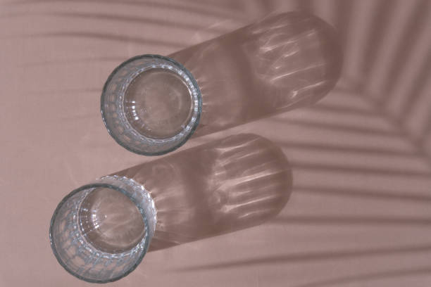 istock Two beer glasses with palm leaf shadow over mocha color background 1628771908