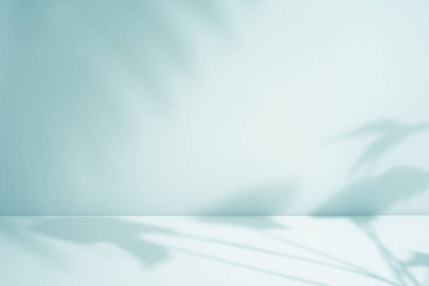 istock Green room and ceramics floor with sun light natural leaf shadow on the wall 1628783775