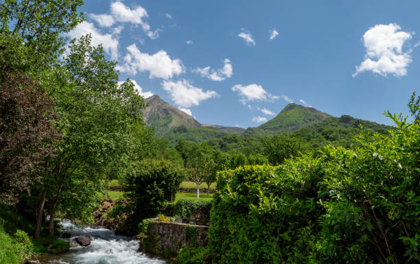 istock mountain landscape with small torrent, French Pyrenees 1628805521