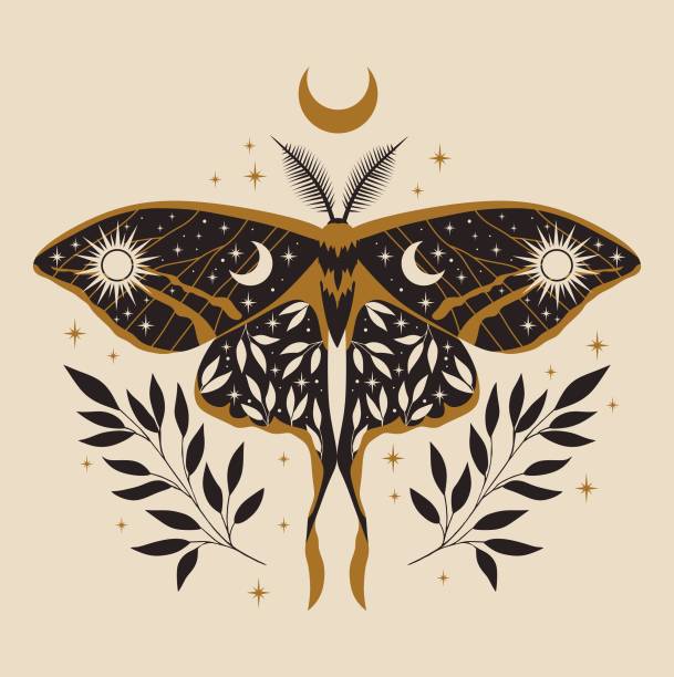 Beautiful moth illustration. Vector celestial.