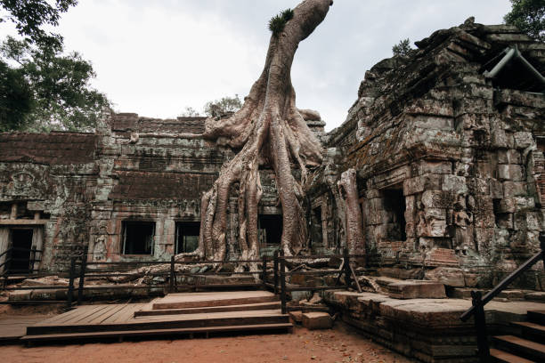 Ta Prohm temple ruins is Khmer ancient temple in complex Angkor Wat in Siem Reap, Cambodia in a summer day