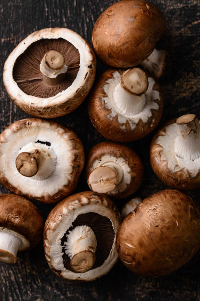 istock Raw champignon mushrooms on black background 1628837145