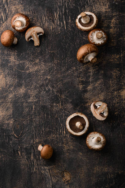 istock Raw champignon mushrooms on black background 1628837155