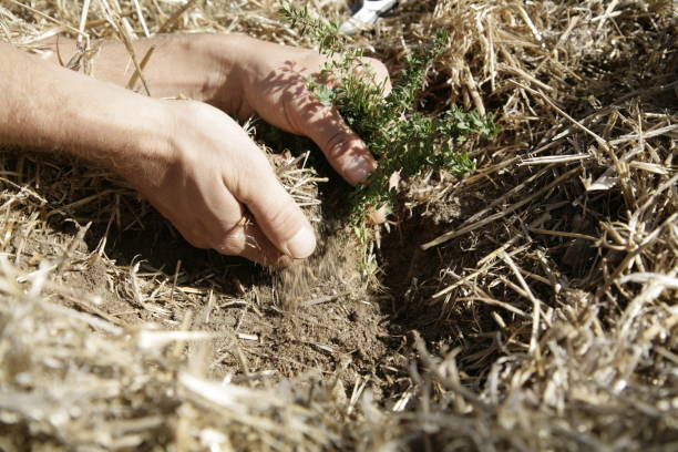 istock soil on a field in agriculture 1628842979