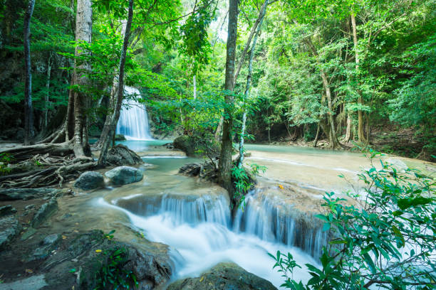 hermosa cascada de selva tropical de erawan en la provincia de kanchanaburi, tailandia. - kanchanaburi province beauty in nature falling flowing fotografías e imágenes de stock